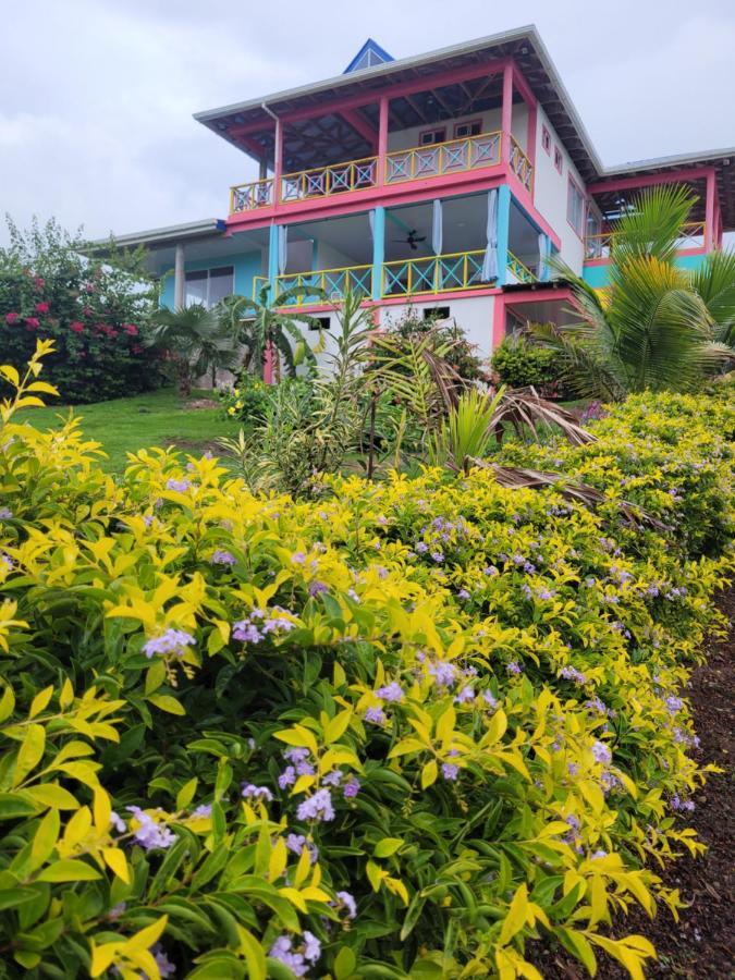 321 Surprise Beach House And Glamping Archibolds エクステリア 写真